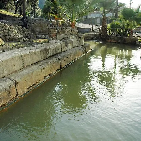 Delle Terme Di Agnano Napoli