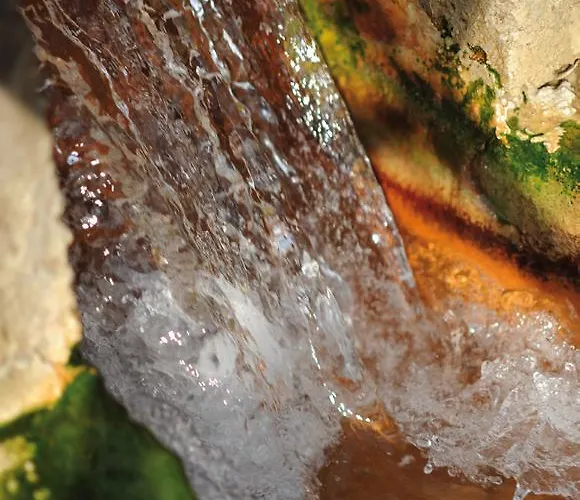 ホテル Delle Terme Di Agnano